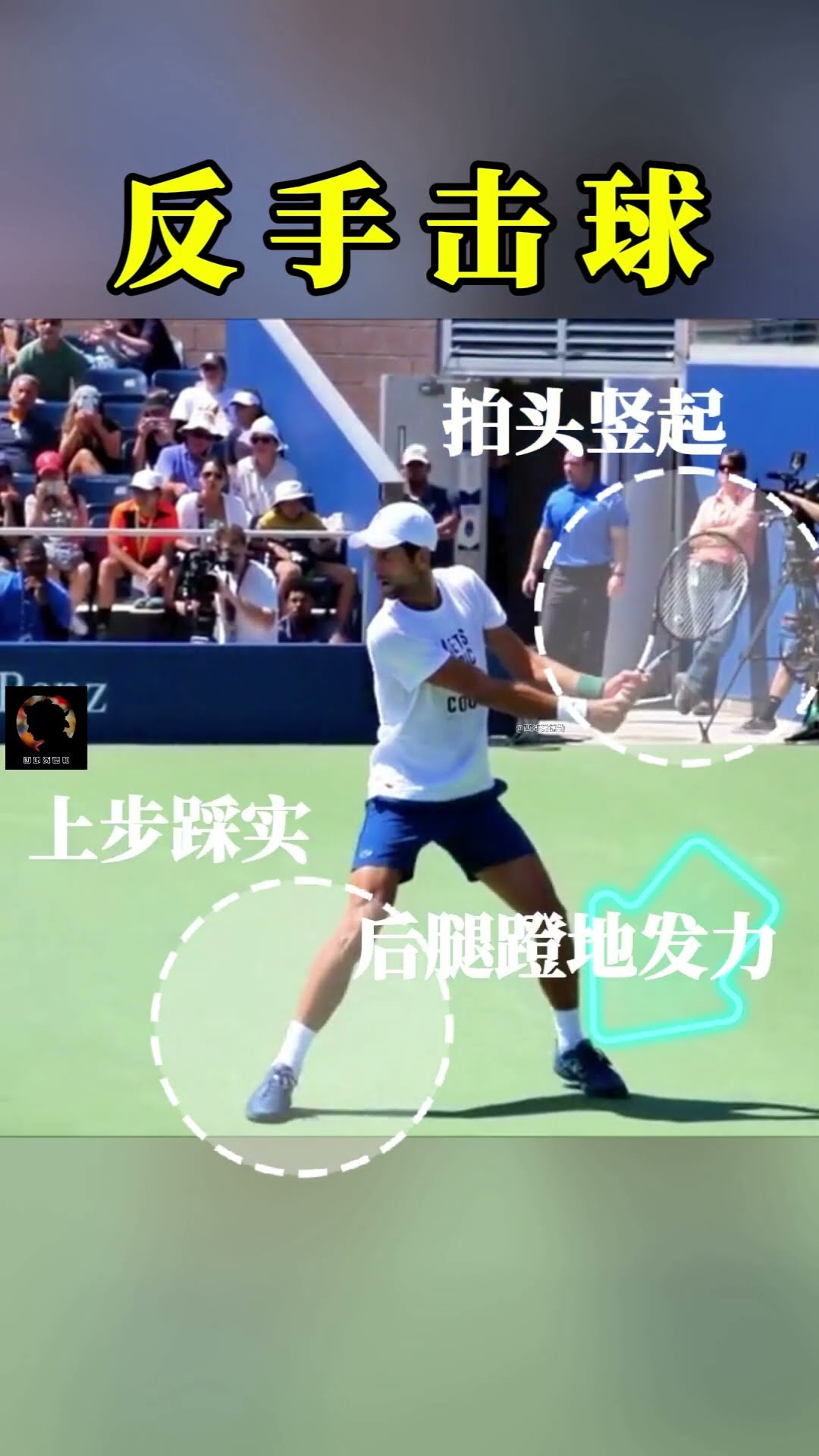 疑將提升狼 疑將提升狼