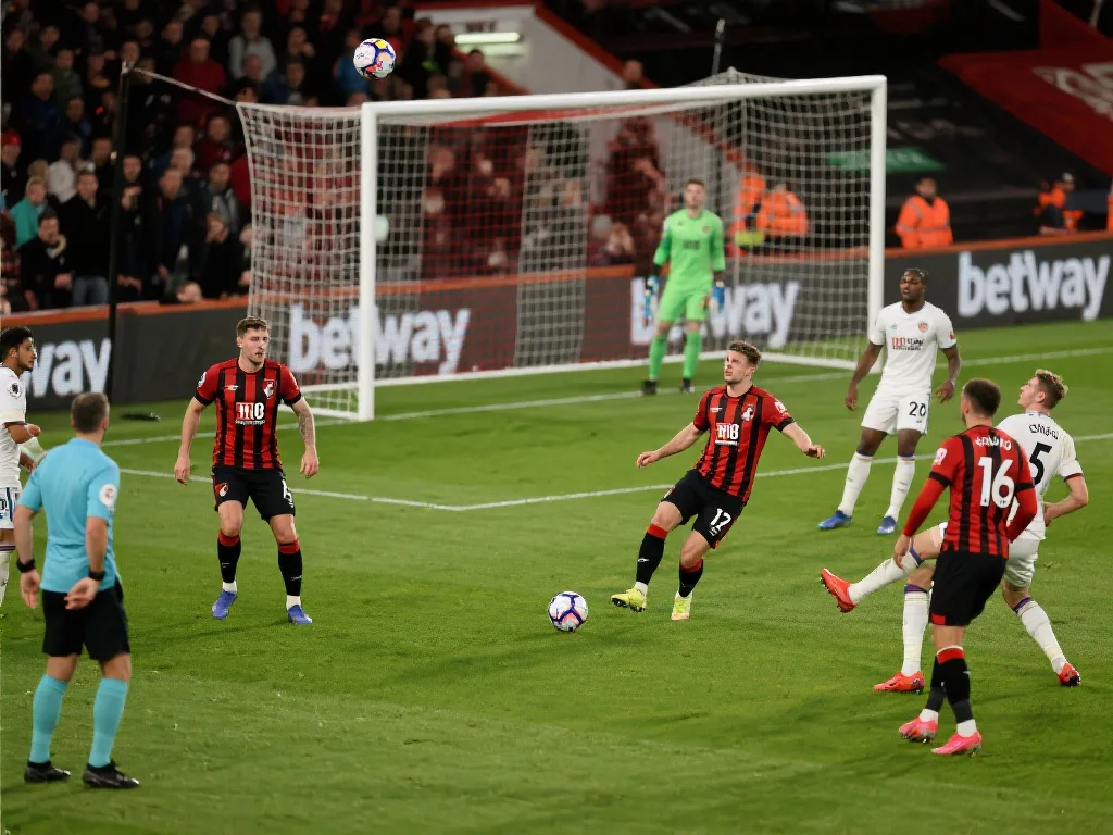 但他们选择 但他们选择